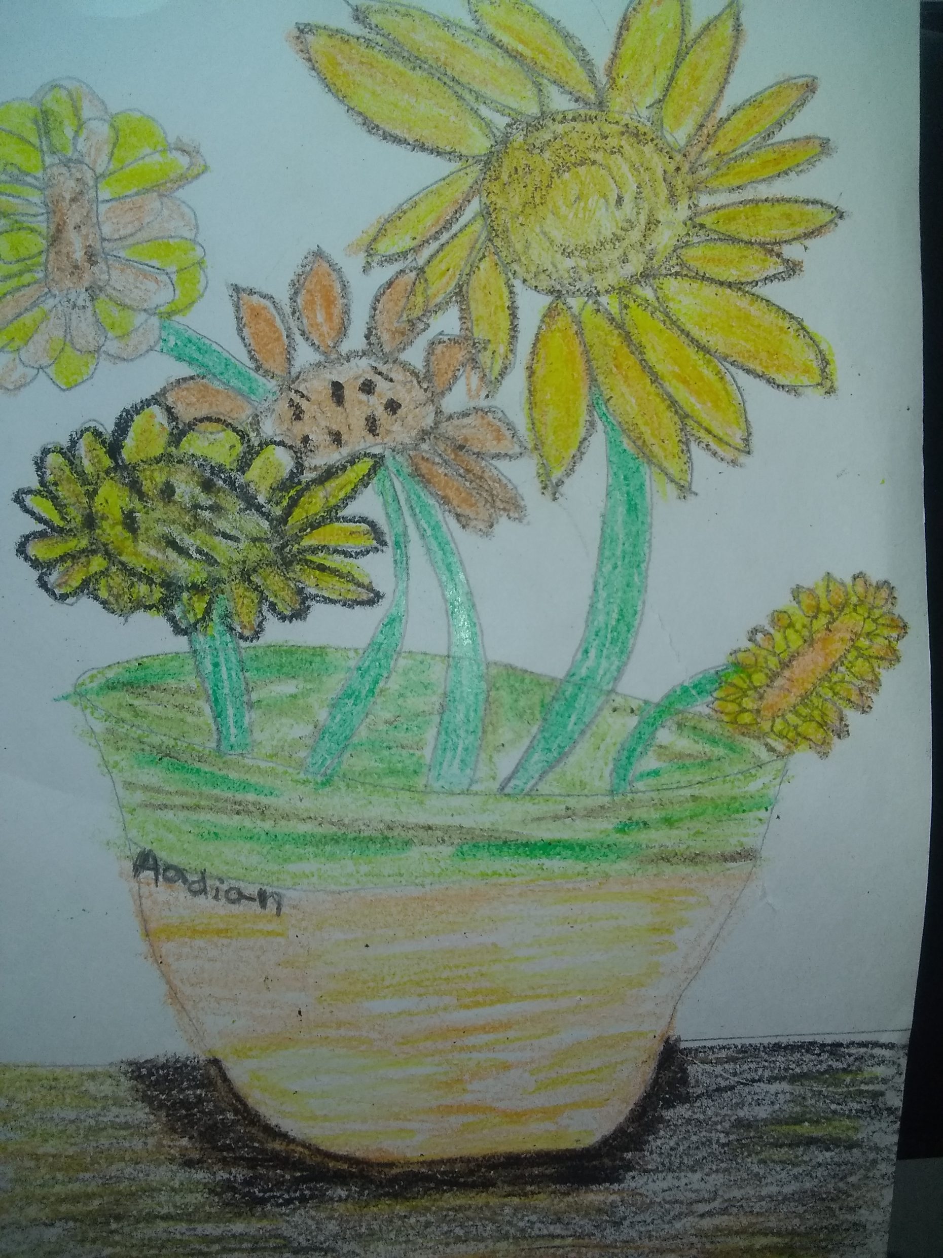 Drawing of yellow sunflowers in a pot
