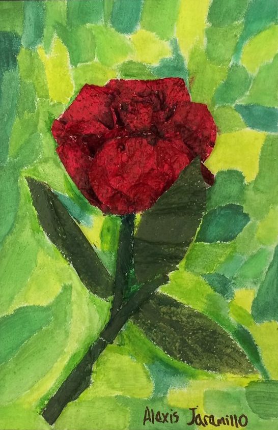 Rose on green background