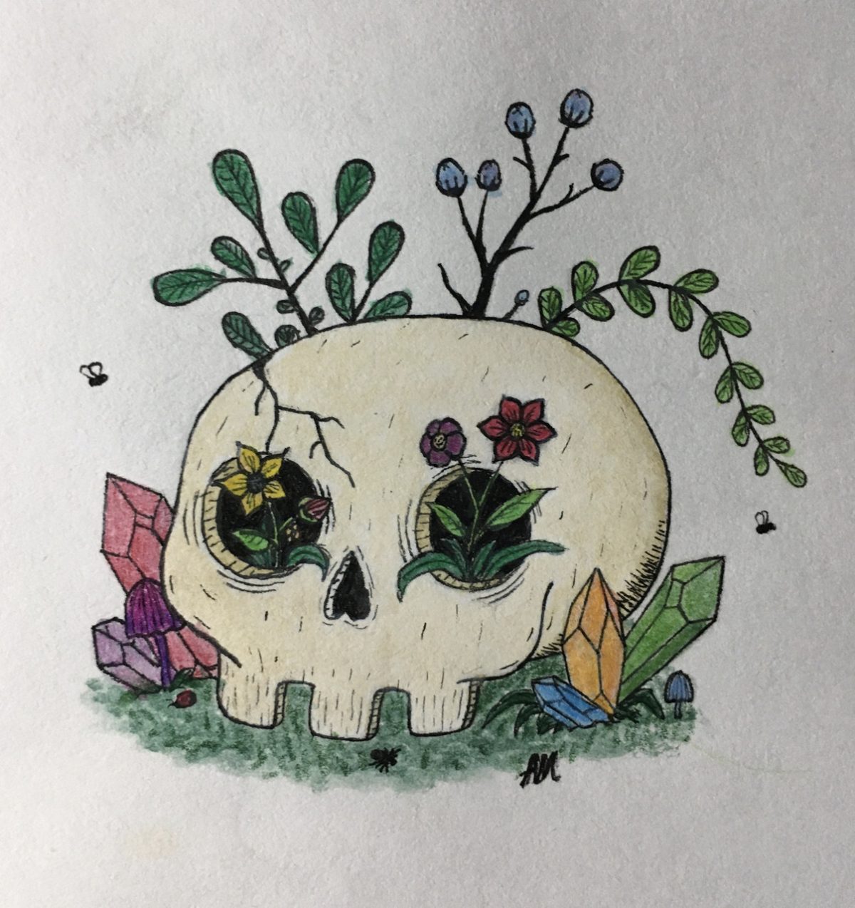 Drawing of skull with flowers growing out of it
