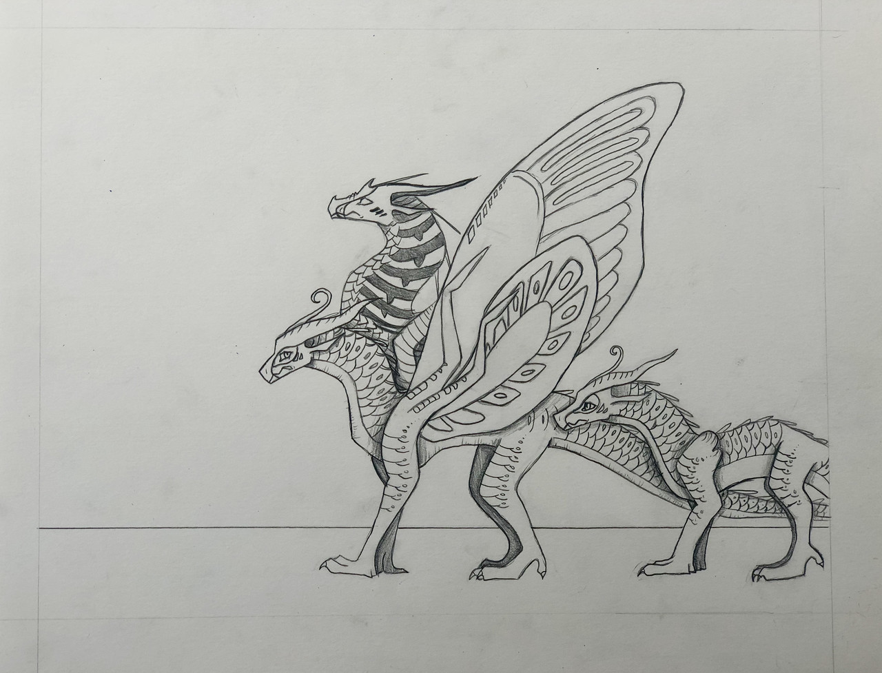 Pencil drawing of three dragons on white paper