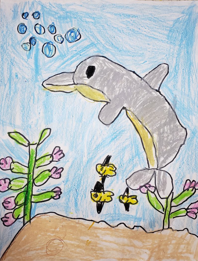 Drawing of dolphin underwater