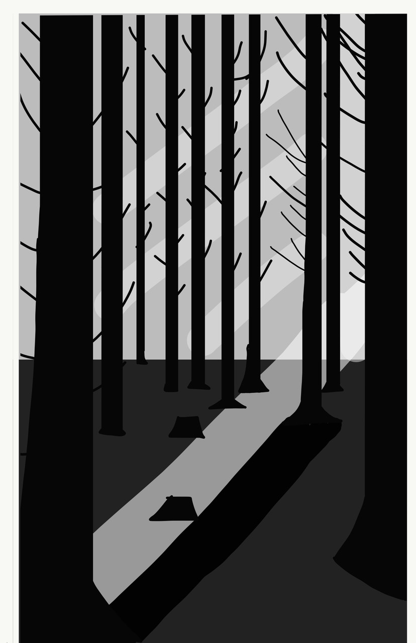 Black and white trees