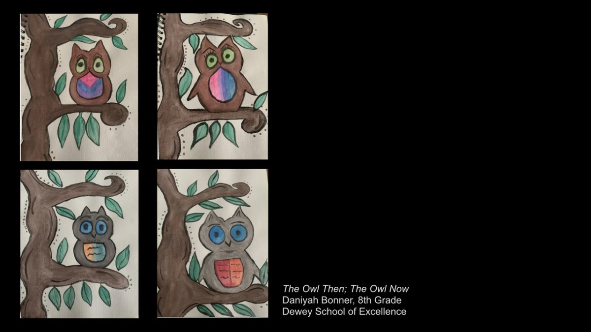 4 owl drawings
