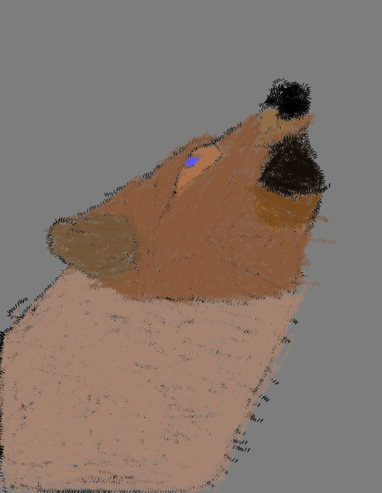 brown wolf gray back ground