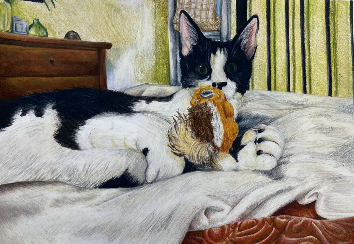 Illustration of a cat laying in bed with a toy.