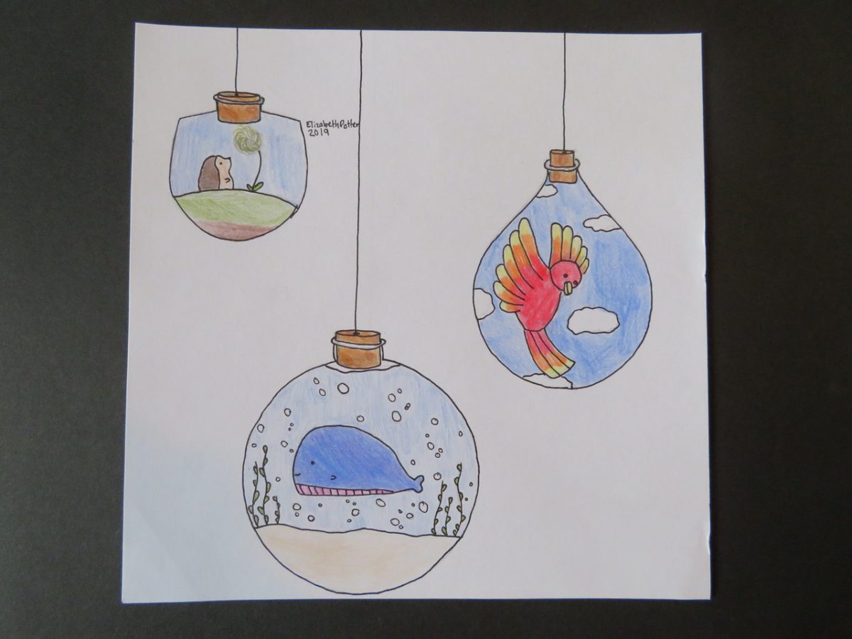 Drawing of small water habitats suspended with string