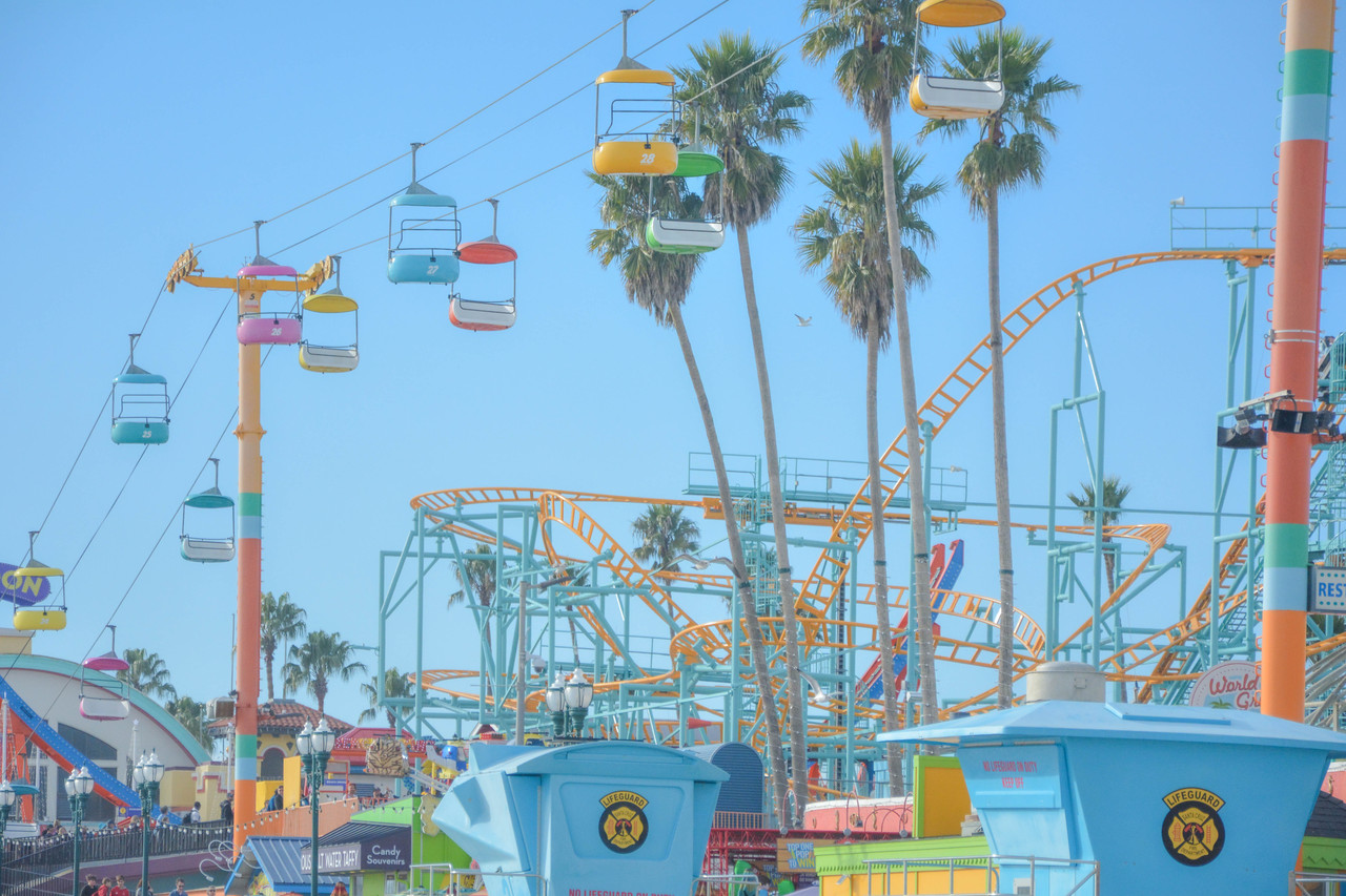 Photograph of an amusement park surrounded by palm trees.