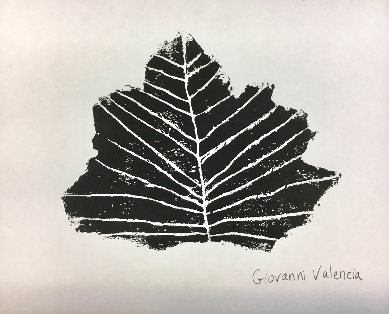 Leaf drawing print in ink