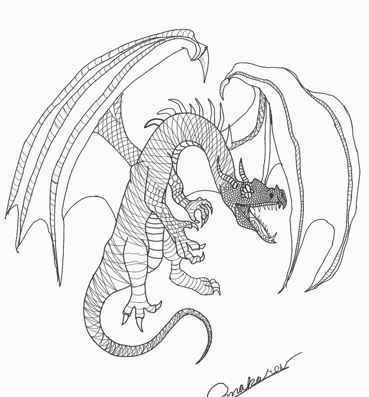 Line drawing of dragon on white paper