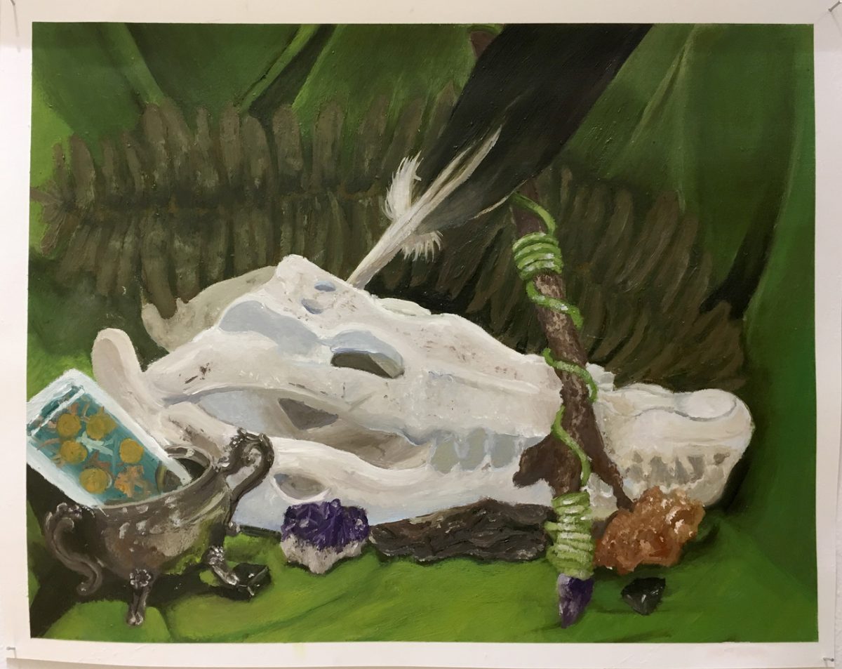 Animal skull surrounded by stones, a feather, and greenery