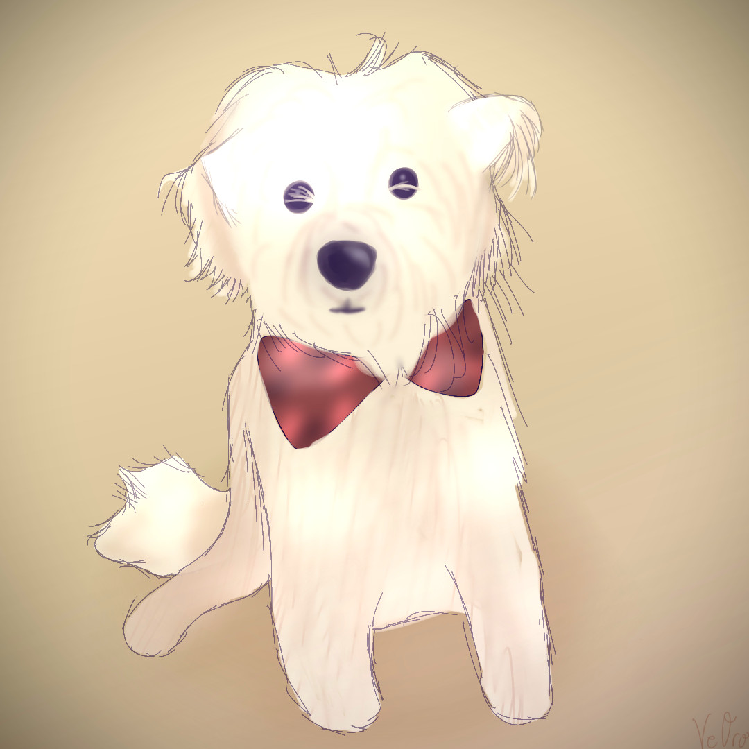 digital illustration