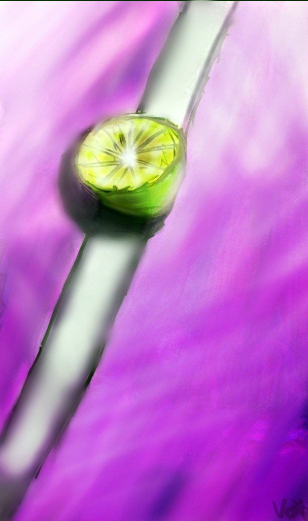 digital illustration