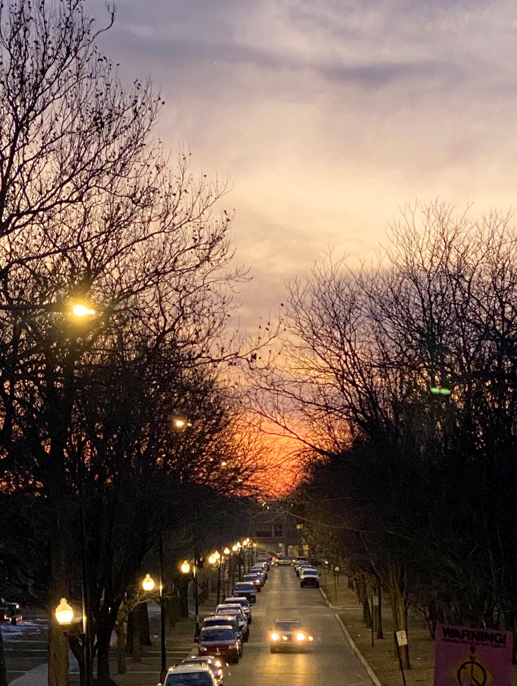 Sunset show Chicago street with trees on either side.