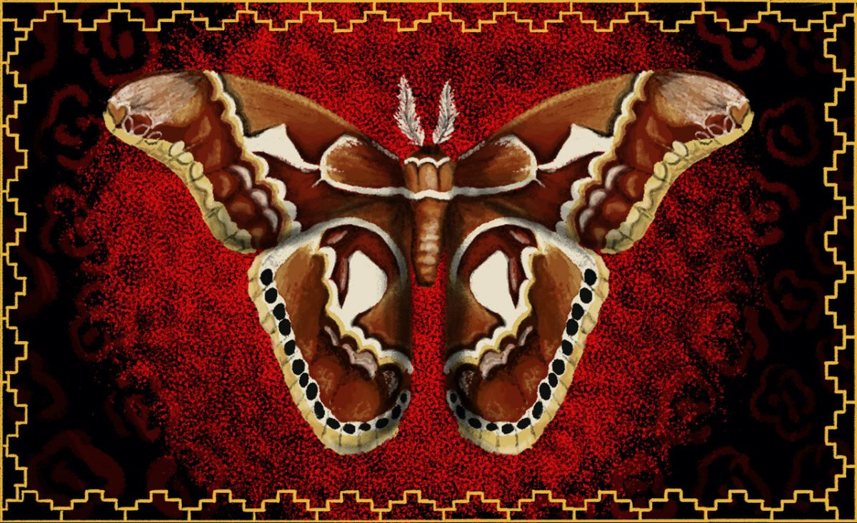 Image of orang and brown butterfly with a red and black spackled background; a yellow decorative border