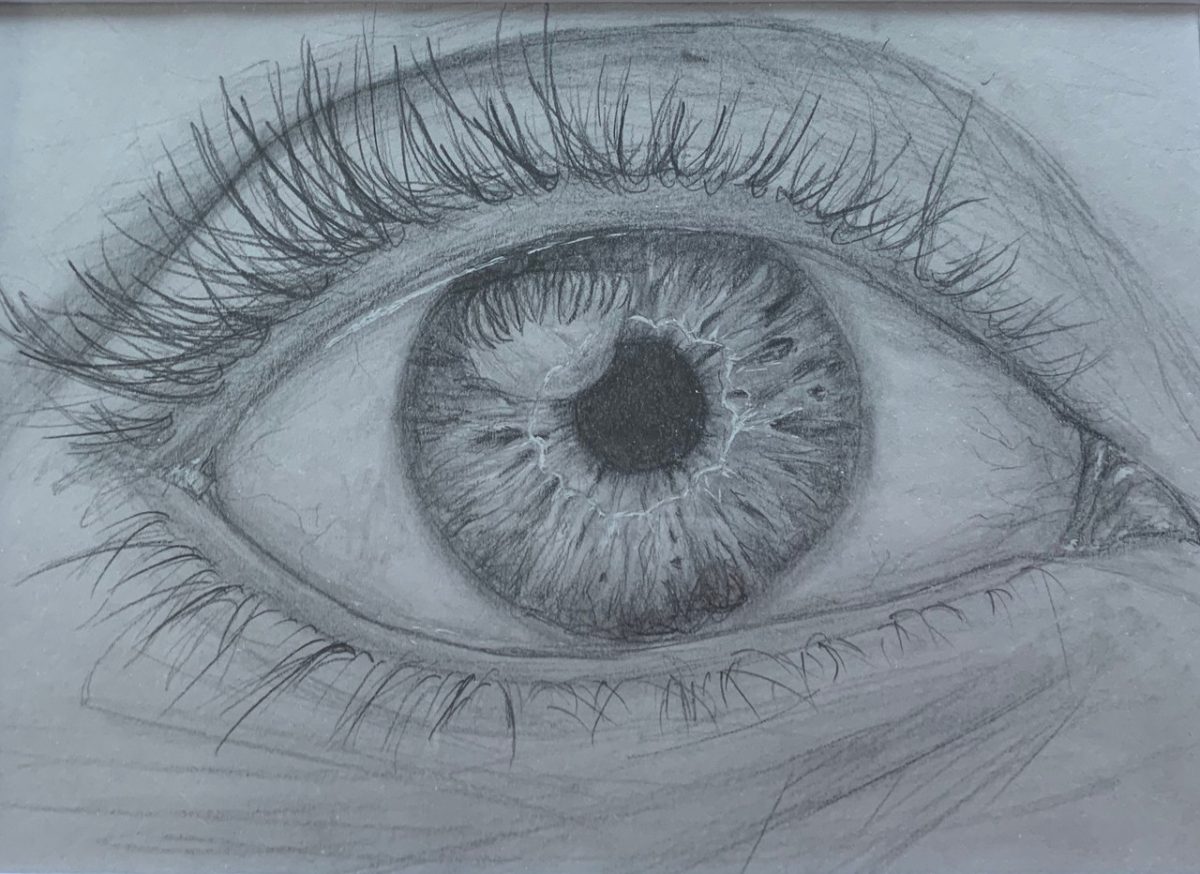 Black and white drawing of close-up of eye