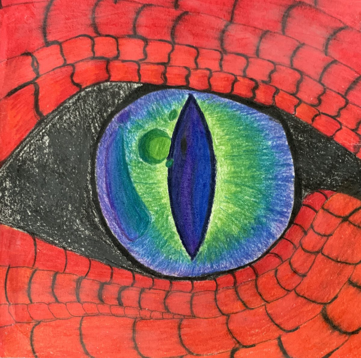 A close up drawing of a dragons eye with bright red scales.