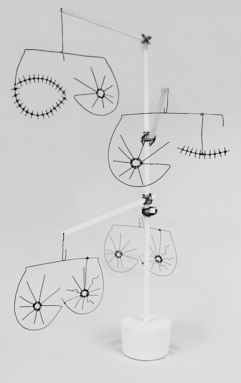 Structural piece with four wired figures of breasts in reference to breast cancer and mastectomy's