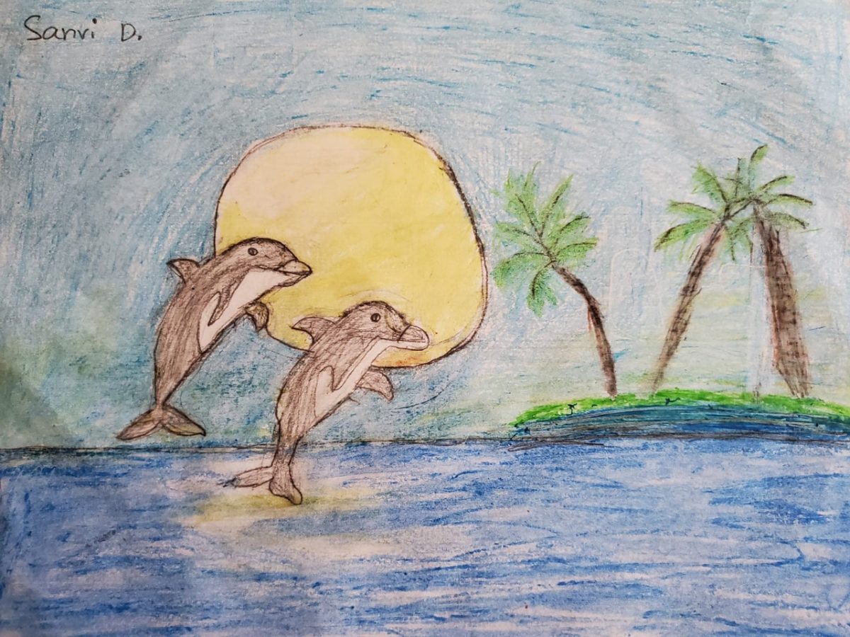 Drawing of two dolphins leaping over water