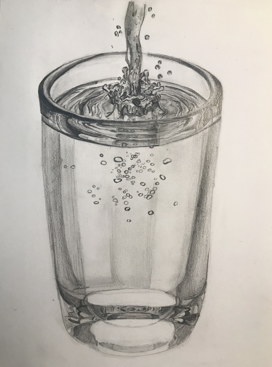 pencil illustration