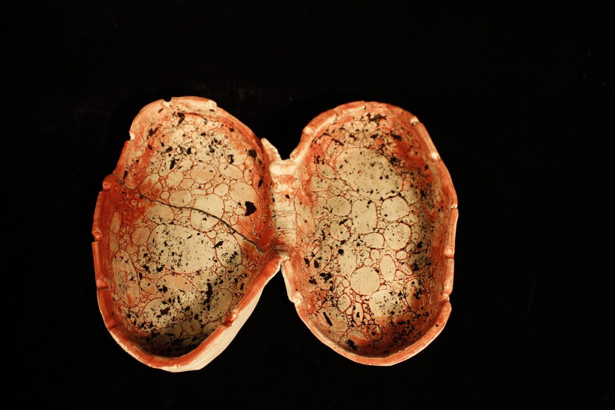 White and red ashtray in shape of lungs with red outline bubbles, black splatter