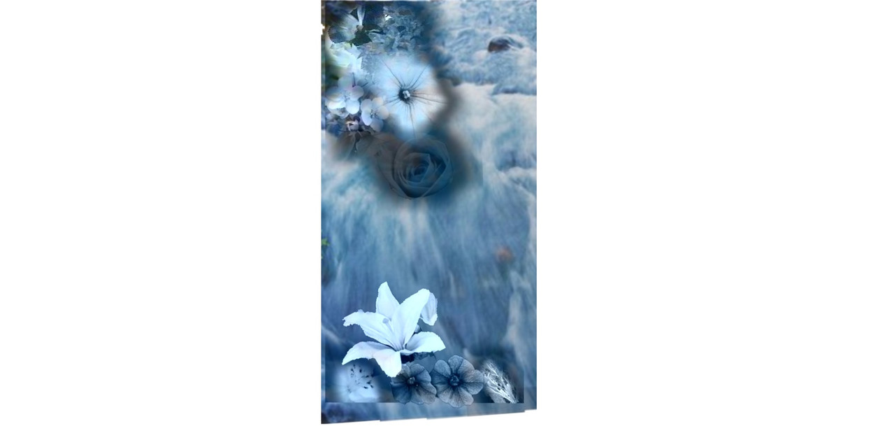 Illustration of 2 flowers in blues and whites