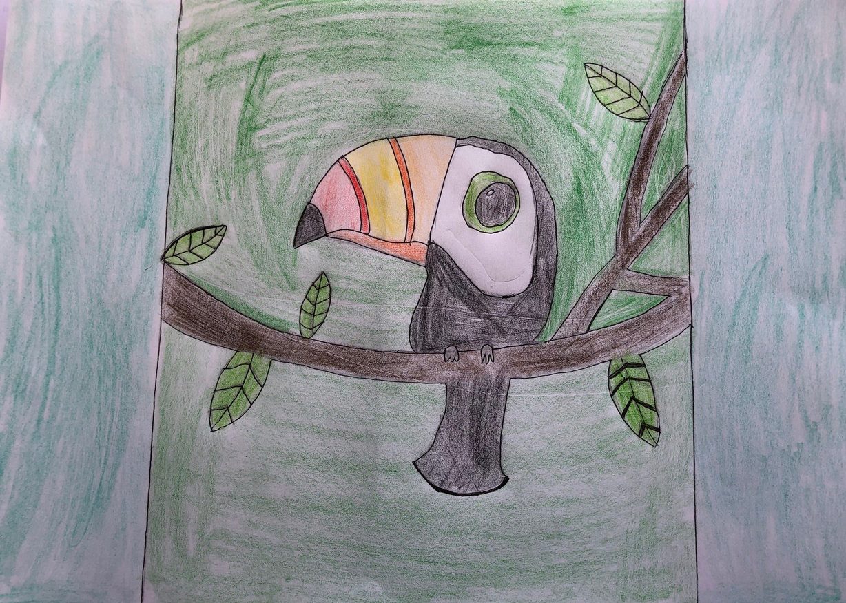 Drawing of a toucan