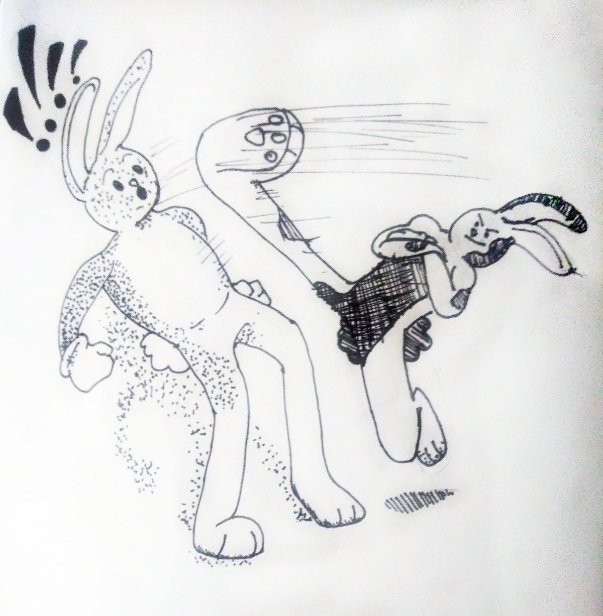 b/w drawing of one rabbit kicking another