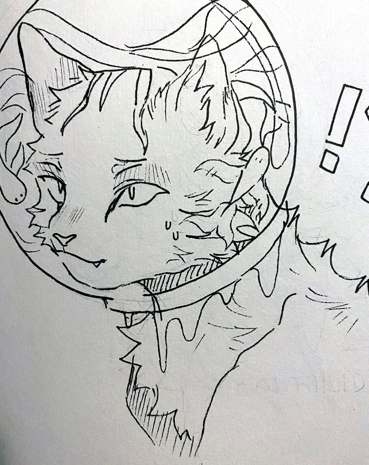 cat in a bubble helmet