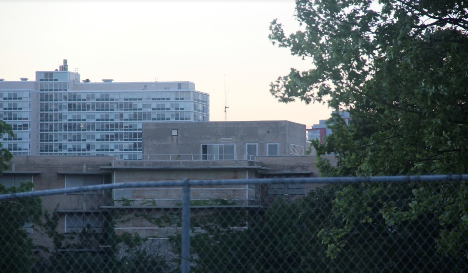 A Found Footage Video.