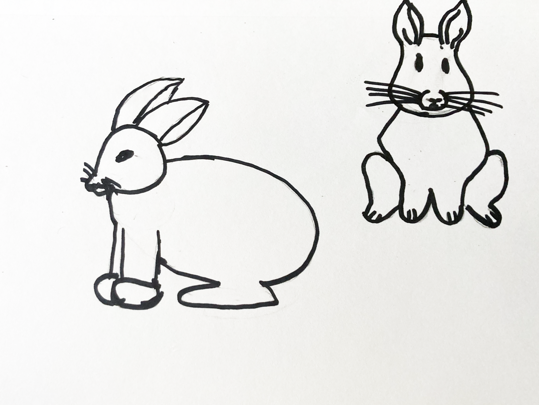 b/w line drawing of two rabbits, one from the side, one from the front