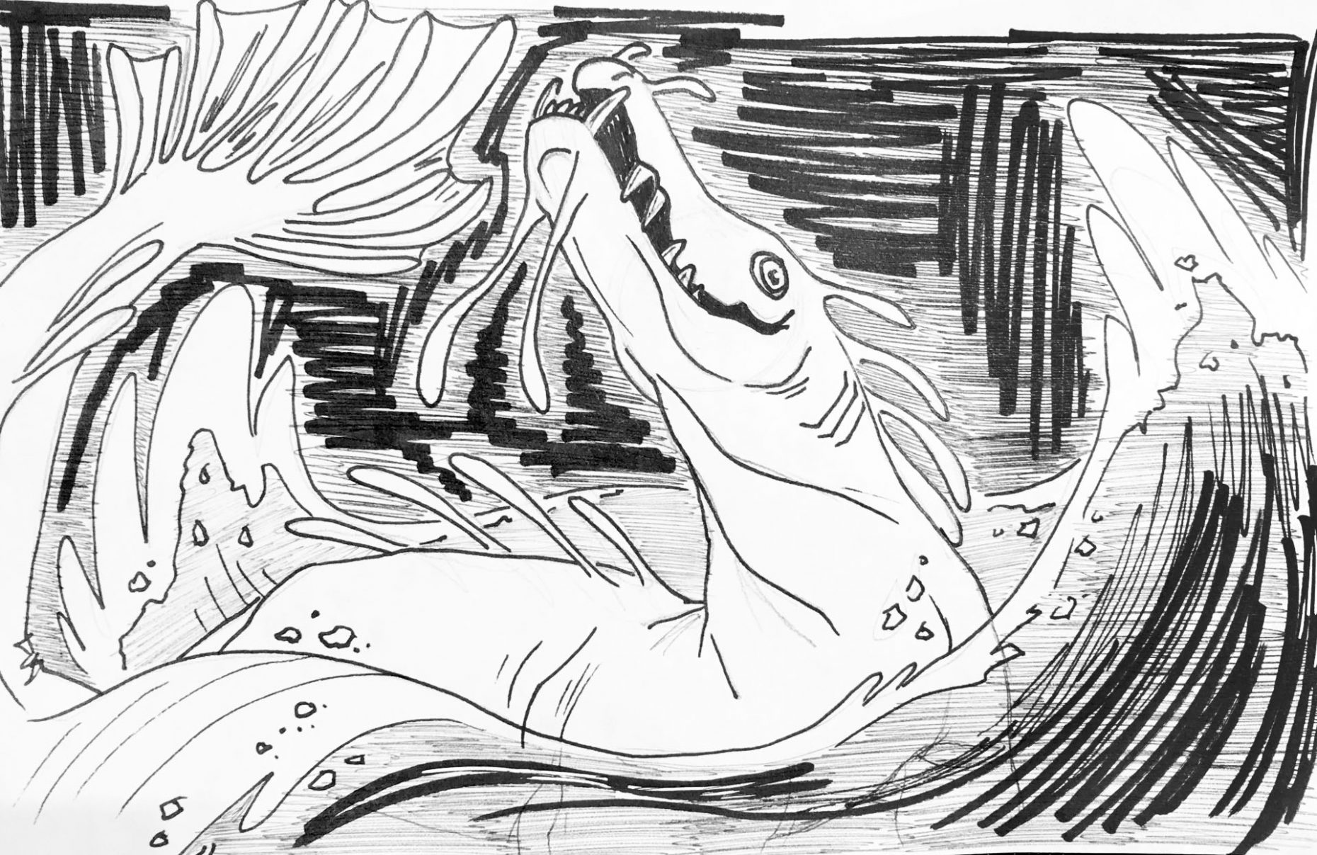 b/w drawing of dragon