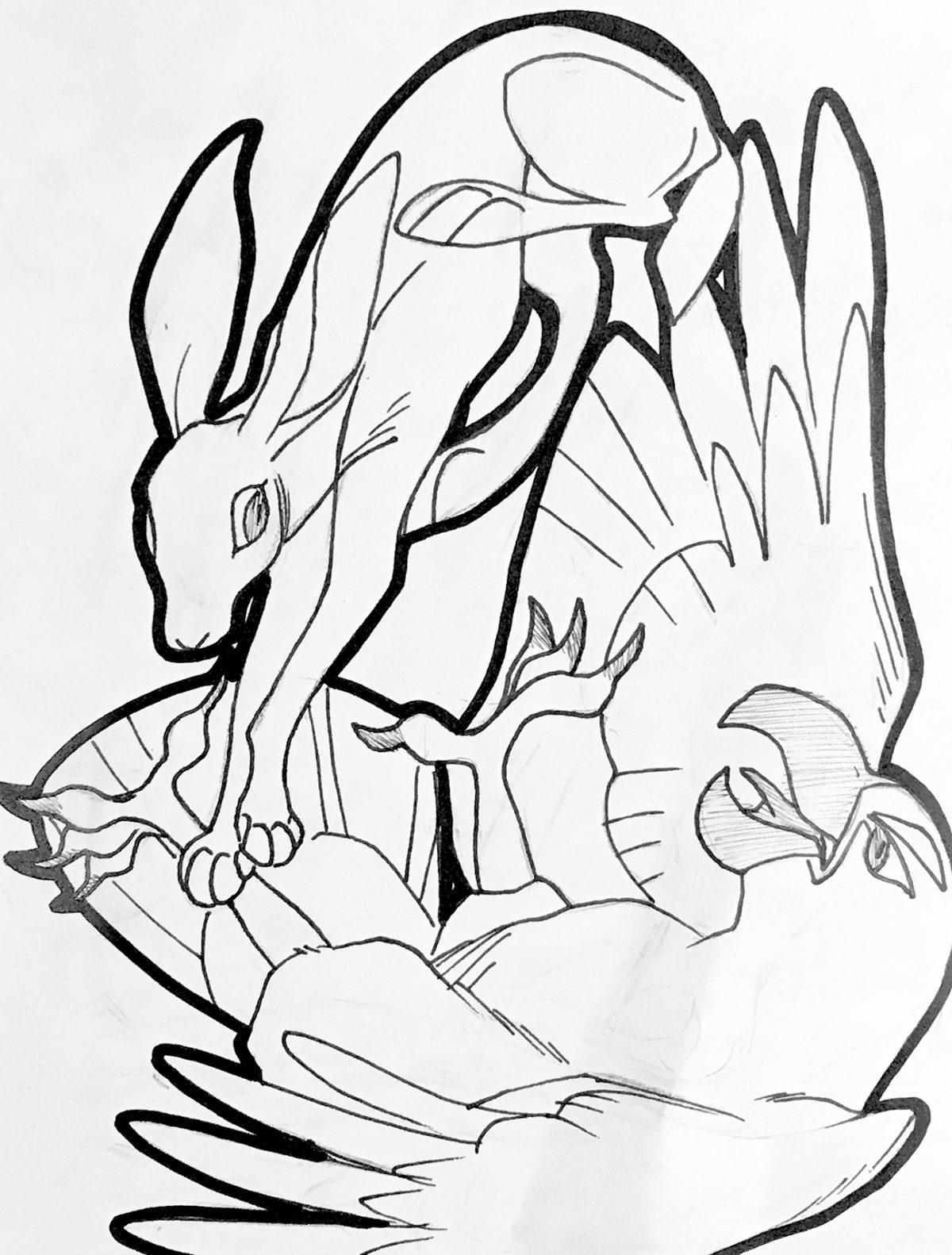 rabbit jumping on eagle