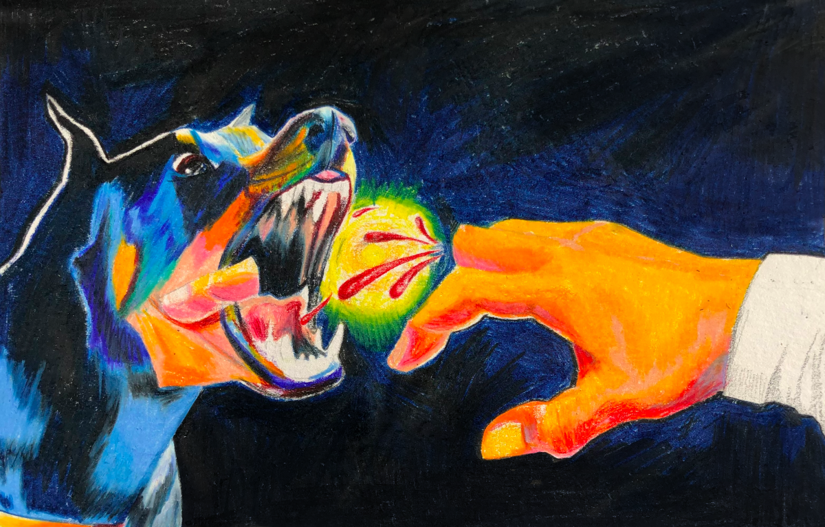 Colorful drawing of dog biting hand