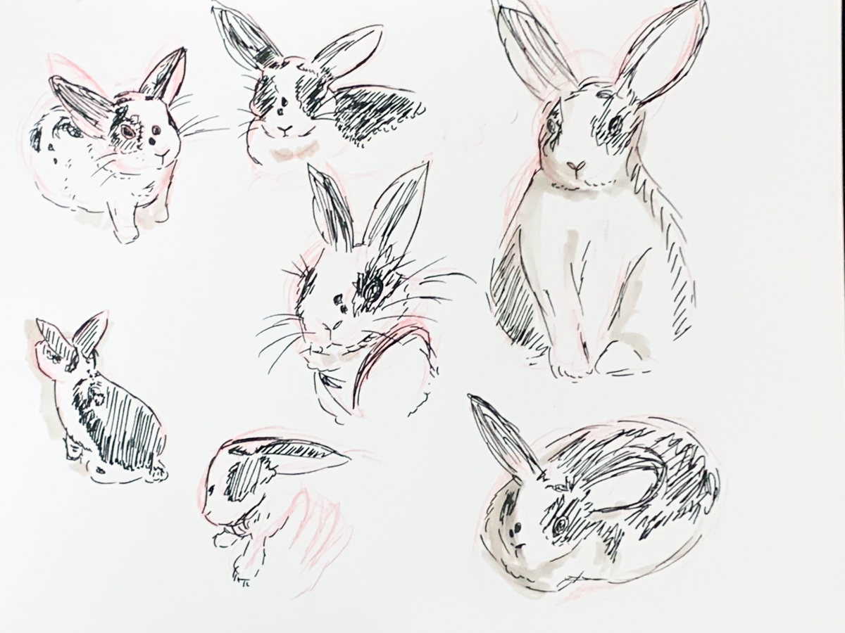 b/w line drawing of rabbits