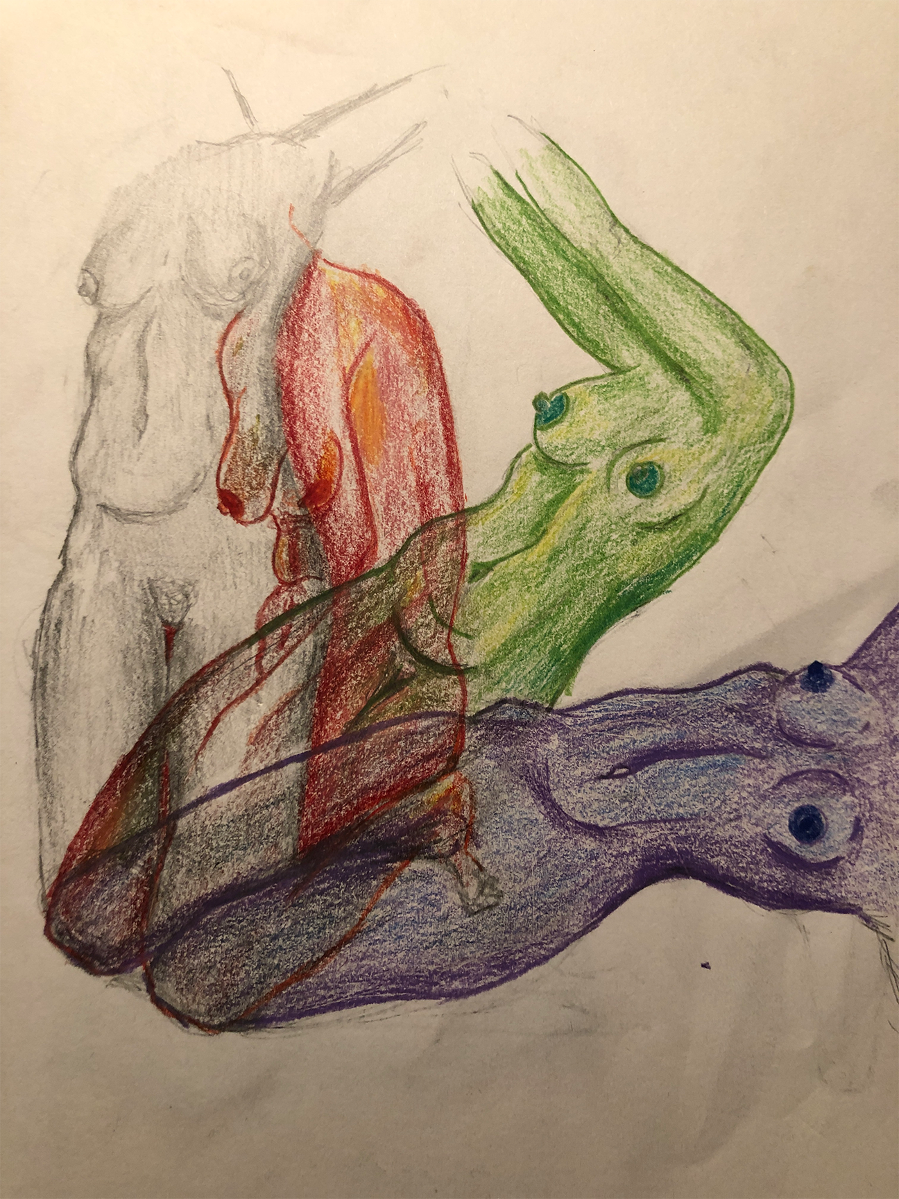 torso in gray, red, green, and purple