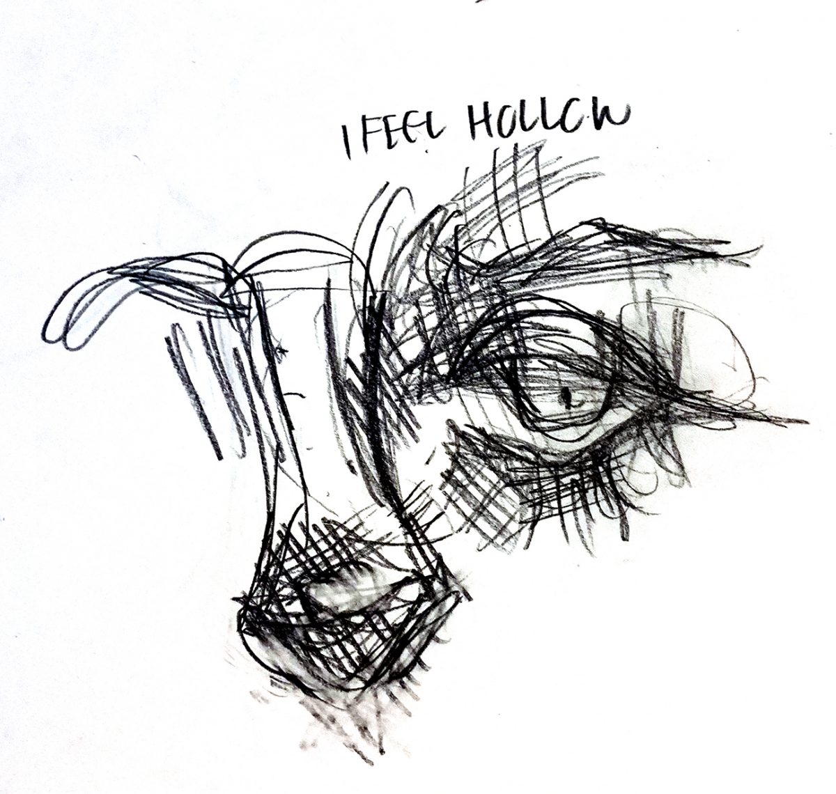 eye and nose
