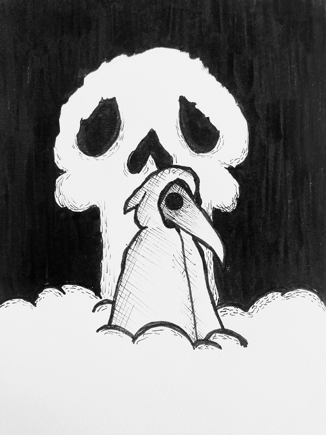 bird in hood in front of skull