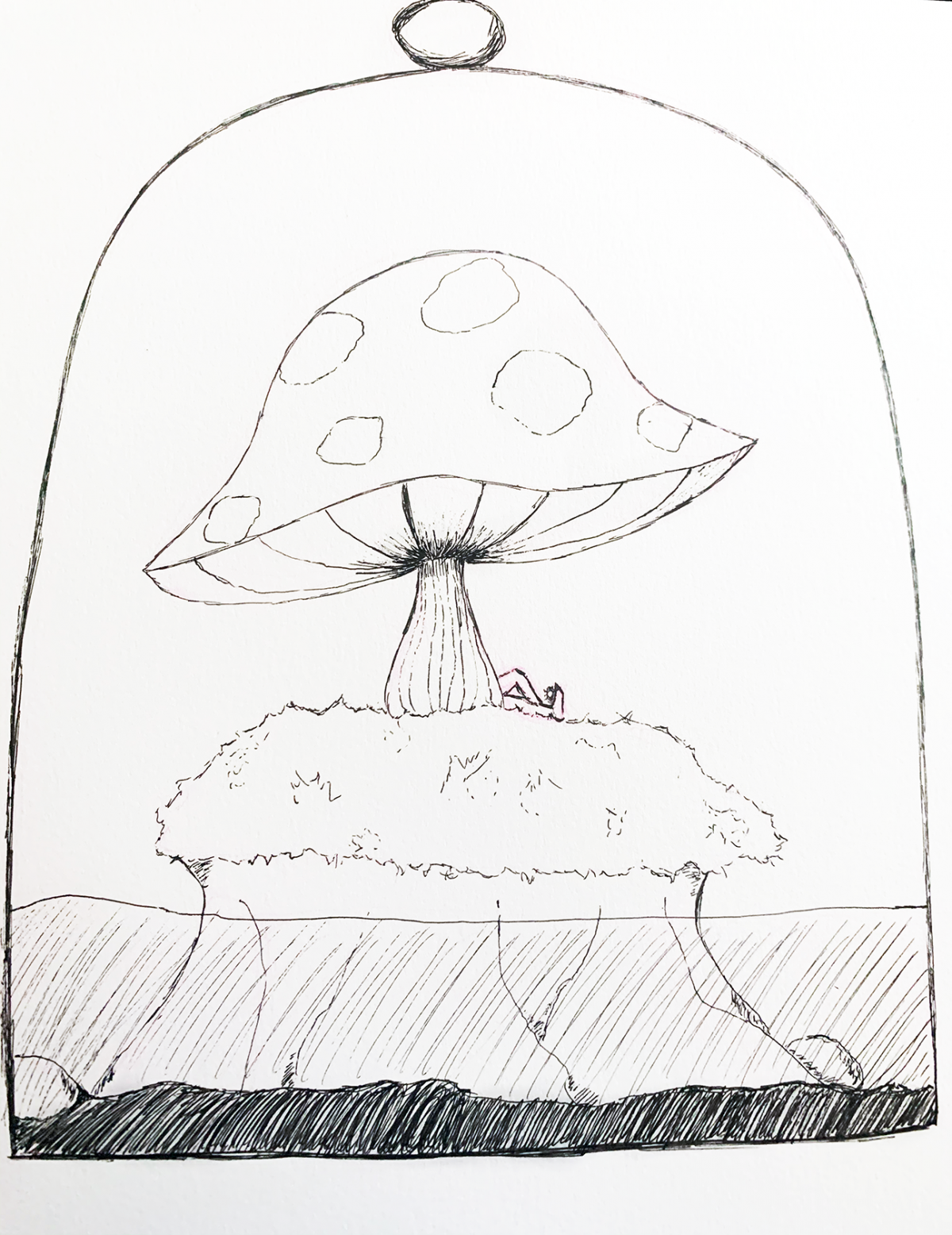 mushroom in a terrarium