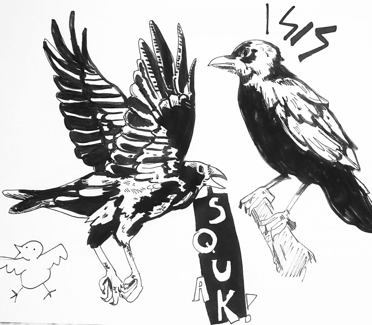 3 birds