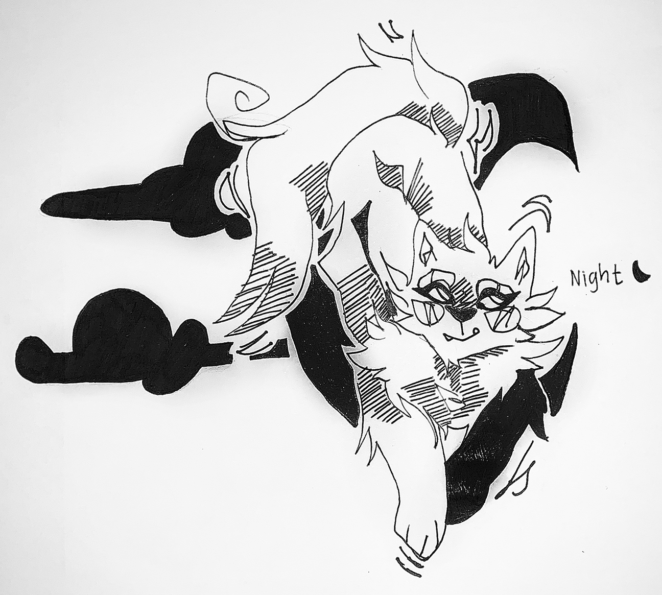 a cat wearing glasses