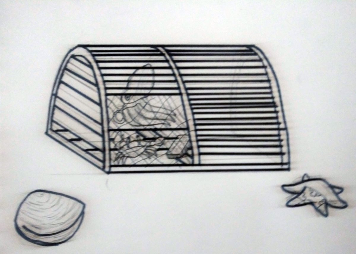 animal in cage