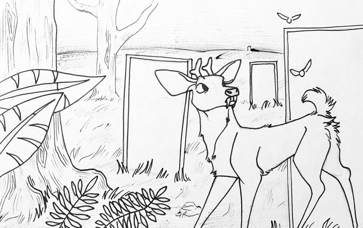 deer in front of doors in forest
