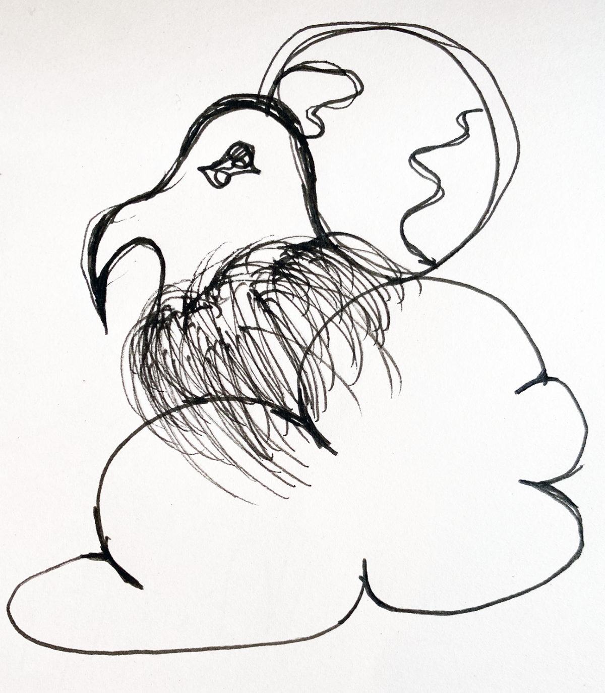 bird on cloud in front of earth