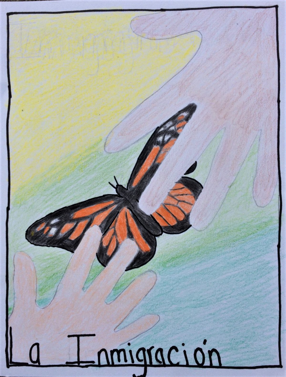 Drawing of two hands hovering over a monarch butterfly with the words "a Inmigración" written below.