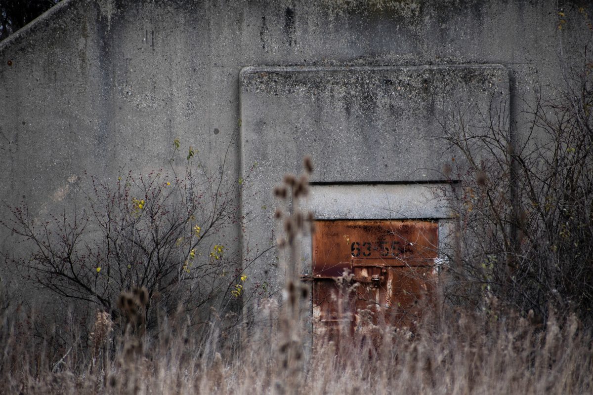 Photograph of a rusted red metal door set into faceless concrete walls, partially obscured by bare branches and reeds.