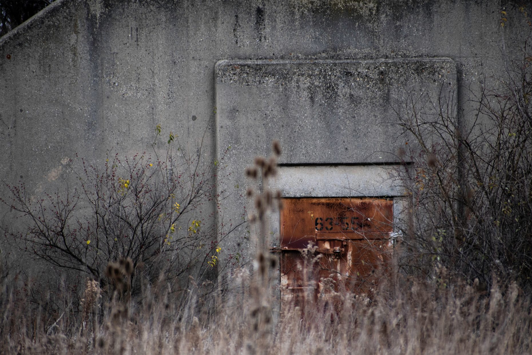 Photograph of a rusted red metal door set into faceless concrete walls, partially obscured by bare branches and reeds.