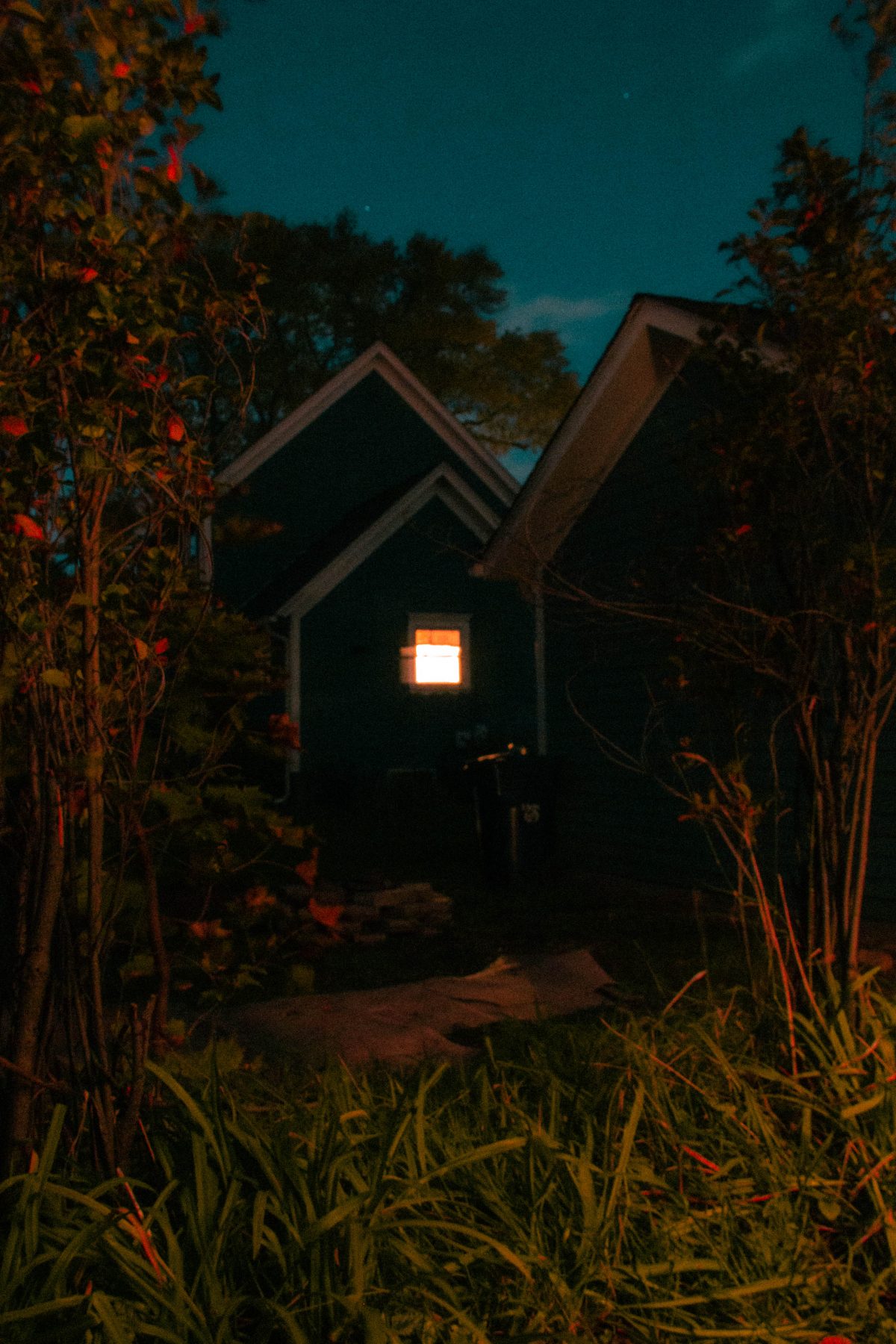 Photograph of a house darkened by the night sky with a warm light in the window. The picture is framed by foliage in the foreground.
