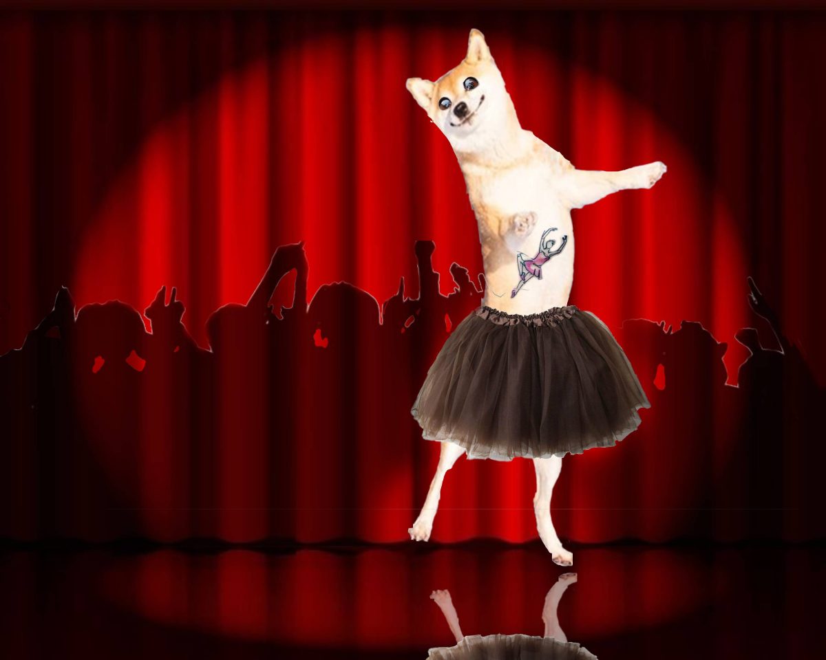 Digital collage of a dog in a tutu on a stage with a red curtain and audience shadows.