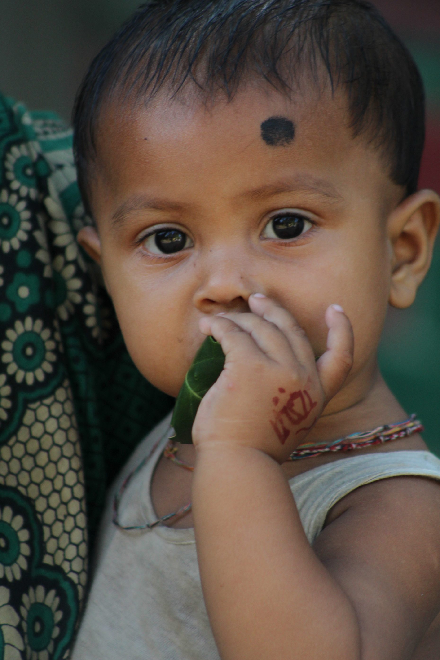 Photograph of a baby's face. They are looking directly into the camera and holding a leaf to their mouth.