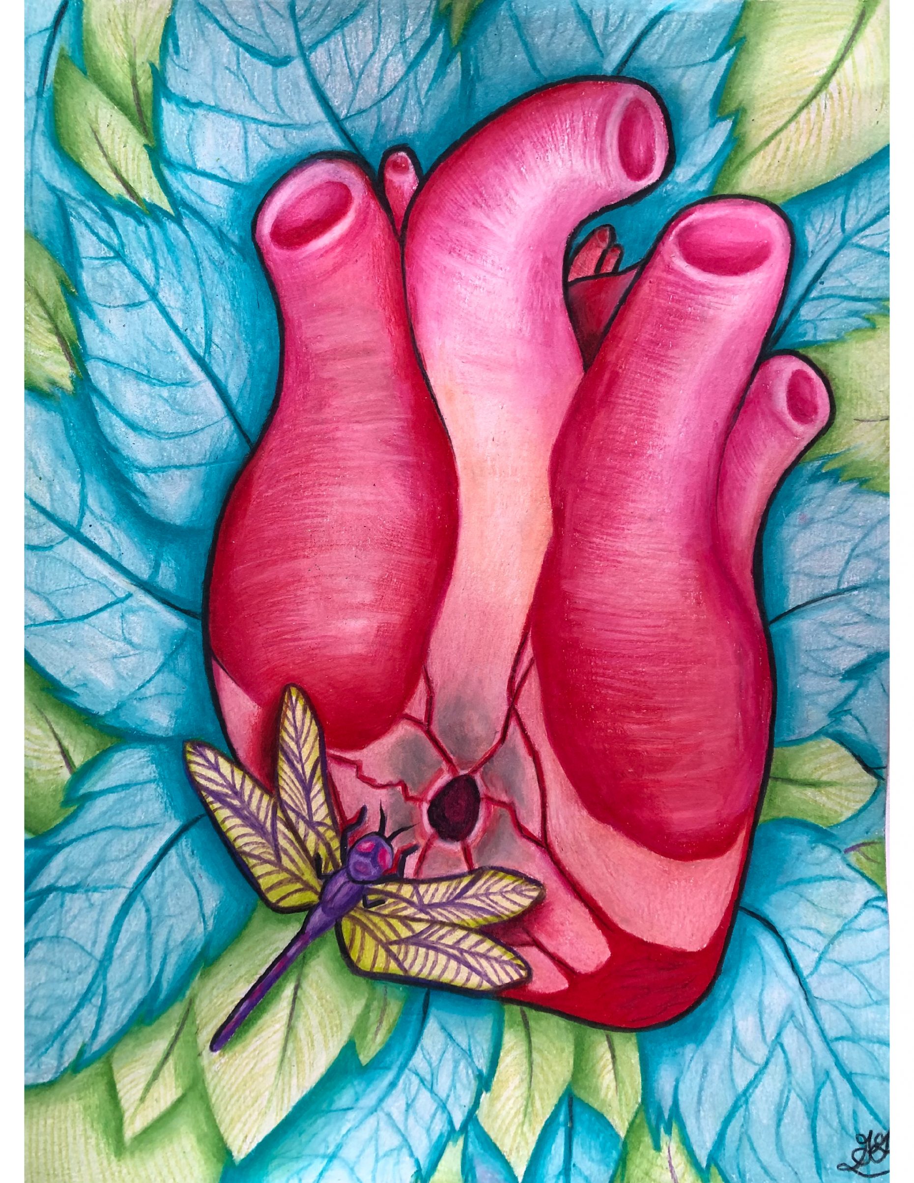Painting of an anatomical heart sitting atop blue leaves, with a colorful dragonfly inspecting a puncture wound at the base of the heart.